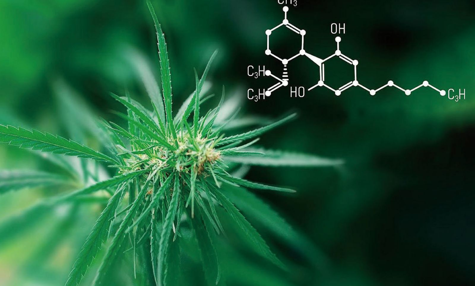 �ڲ�tengbo9885_��ҳ(��ӭ��)