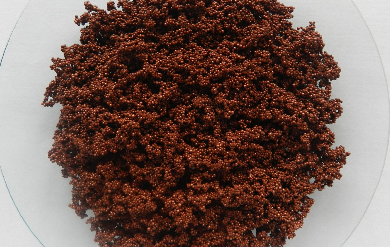 �ڲ�tengbo9885_��ҳ(��ӭ��)