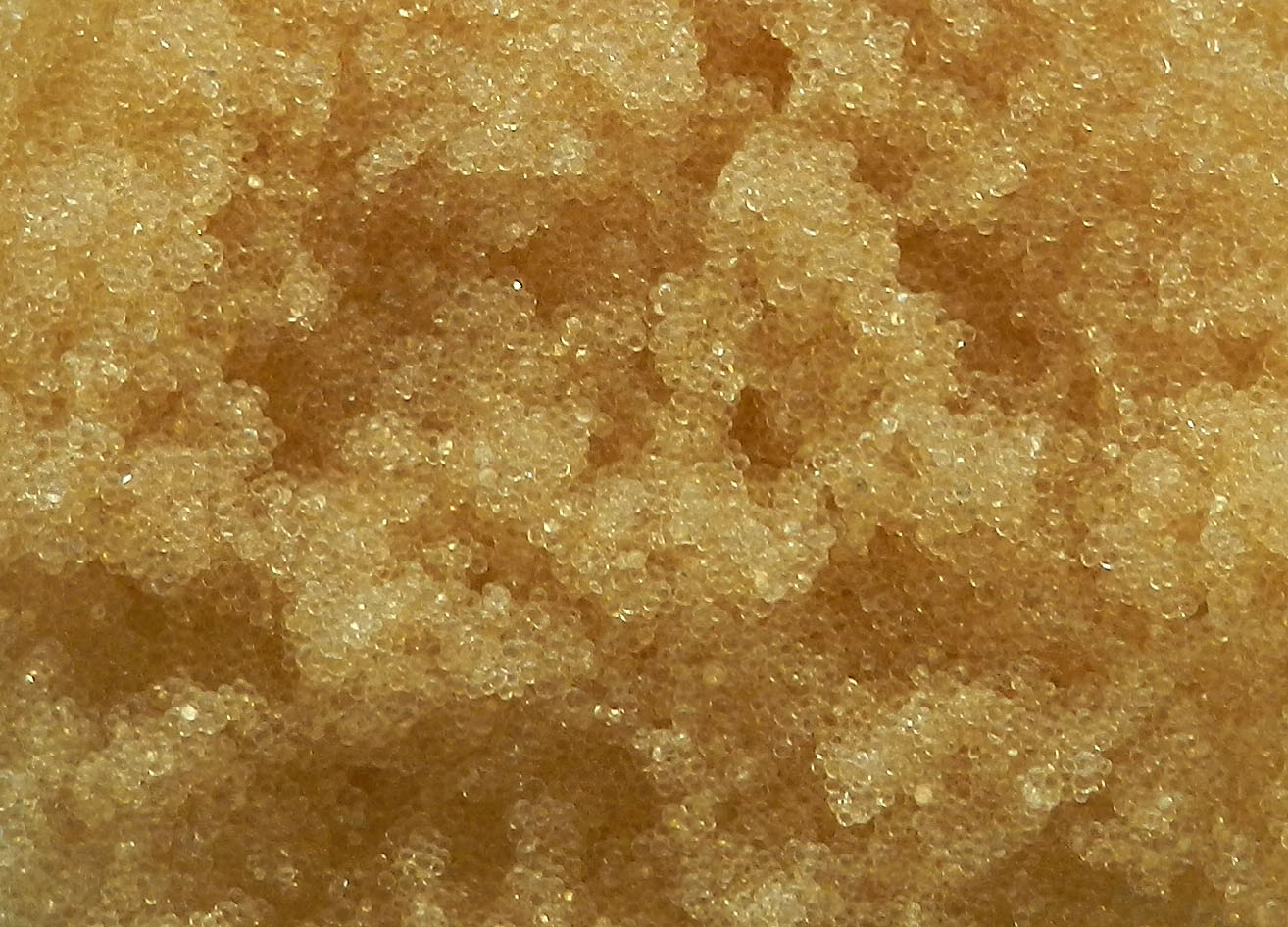 �ڲ�tengbo9885_��ҳ(��ӭ��)