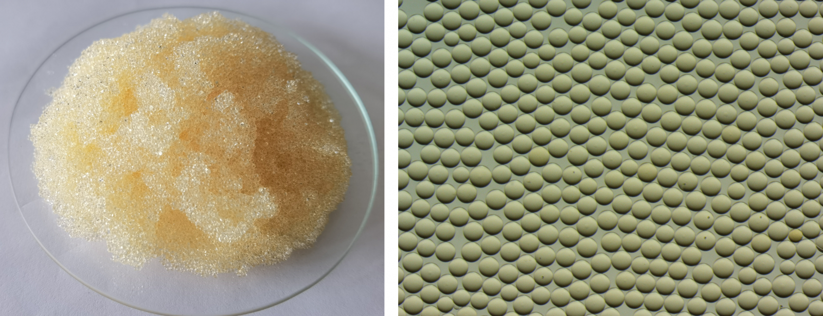 腾博tengbo9885_首页(欢迎您)