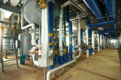 ��֬��������