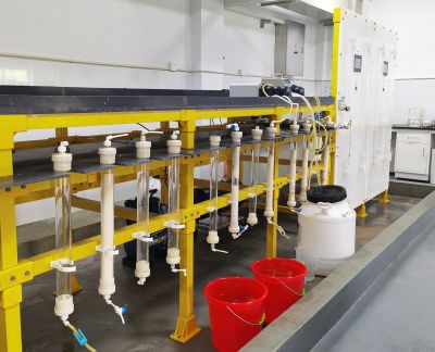 ��֬Ӧ�������о�